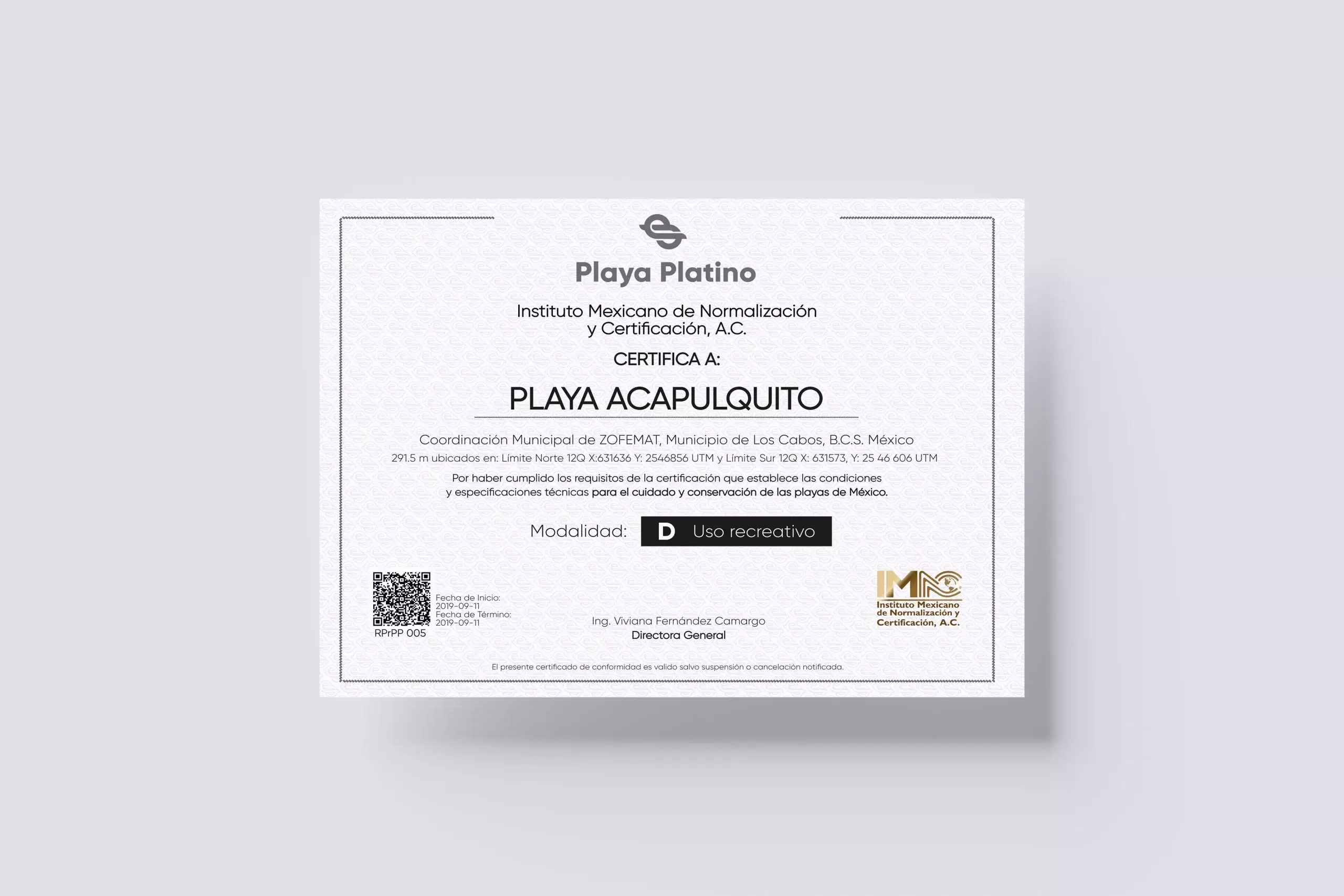 servicios-diseno-grafico-cocktail-marketing-012